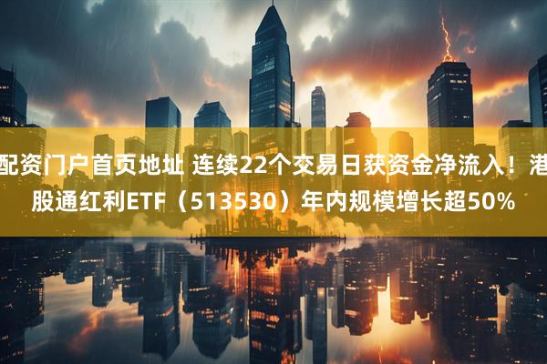 配资门户首页地址 连续22个交易日获资金净流入！港股通红利ETF（513530）年内规模增长超50%