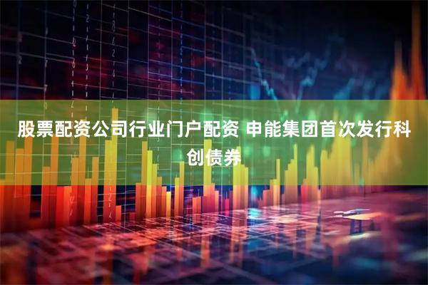 股票配资公司行业门户配资 申能集团首次发行科创债券
